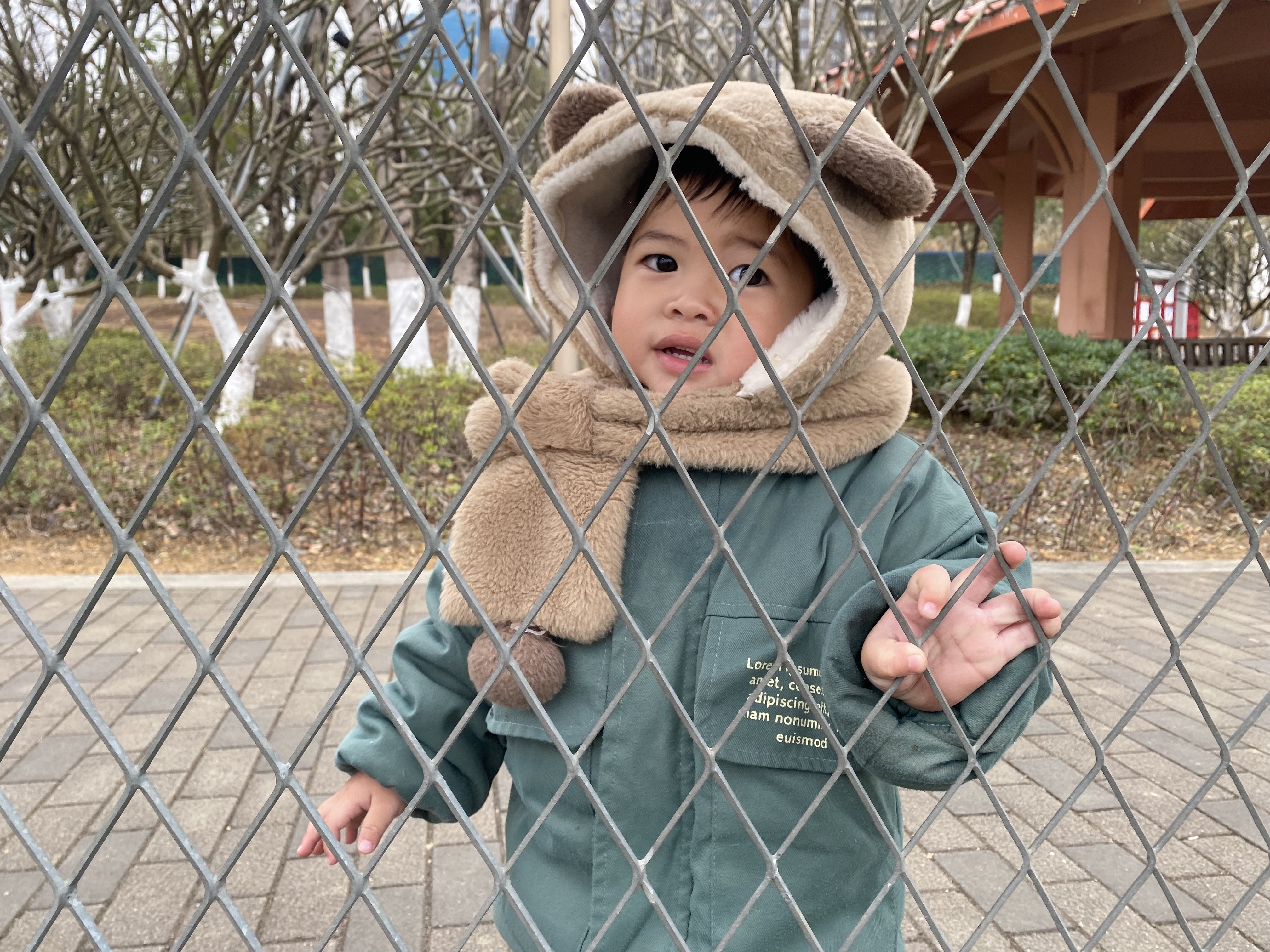 Sven’s young child outdoors in a warm bear hood, looking curiously through a garden fence